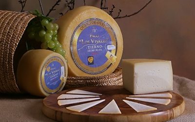 Queso de Oveja Tierno Etiqueta Azul Pago