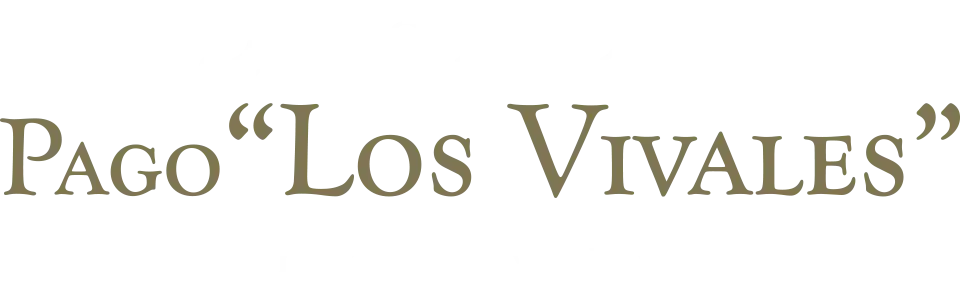 Queso de Oveja Pago 'Los Vivales' Leche Cruda